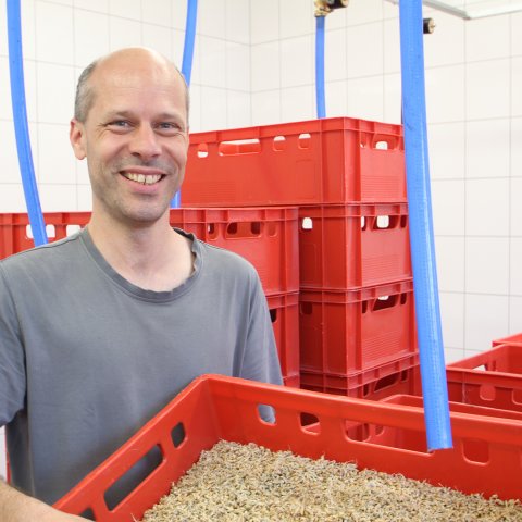 Bäckermeister Volker Apitz erzeugt Getreidesprossen
