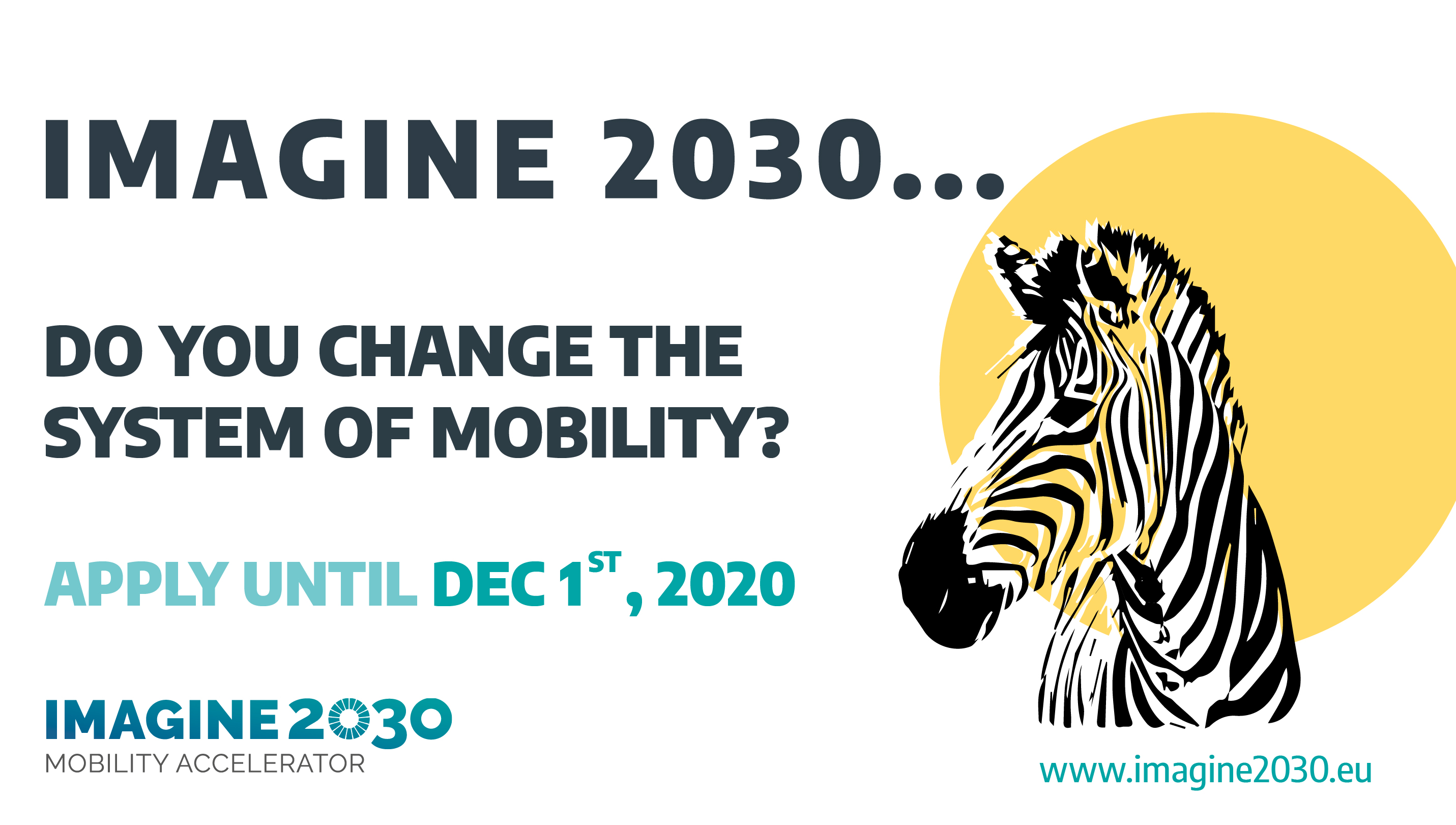 Visual IMAGINE 2030 Call for applications