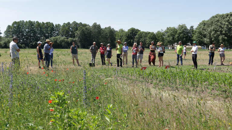 Menschen auf einem Feld