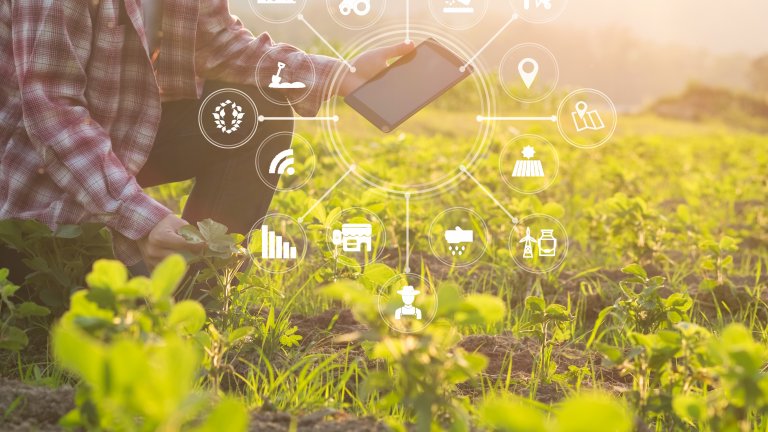 Farmer mit Tablet Farmer mit Tablet