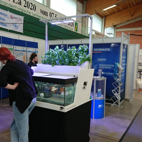 Impressionen Expertenforum auf der BraLa 2019