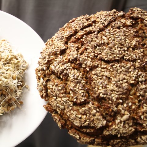 Roggen- und Weizensprossen als Hauptzutaten des Ur-Essener-Brots aus Rohrlack
