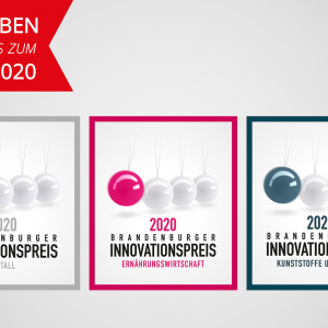Brandenburger Innovationspreis 2020