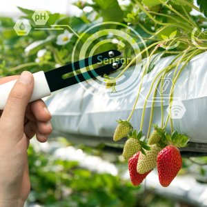 Gartenbausensor