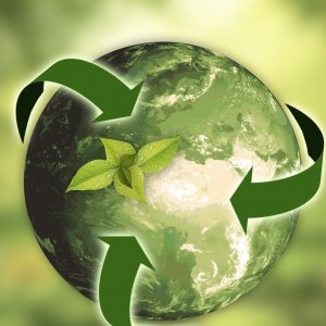 Grüner Kreislauf