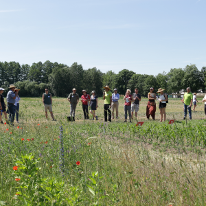 Menschen auf einem Feld
